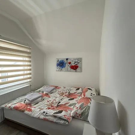 Apartment Gold Lux Surcin