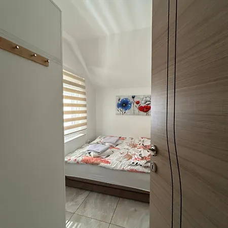 Apartment Gold Lux Surcin
